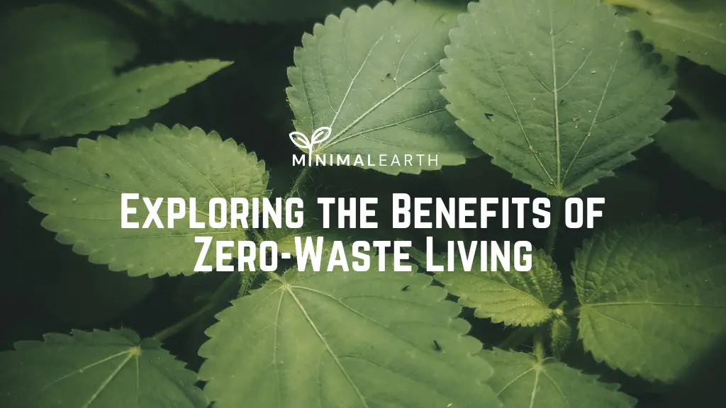 Exploring the Benefits of Zero-Waste Living