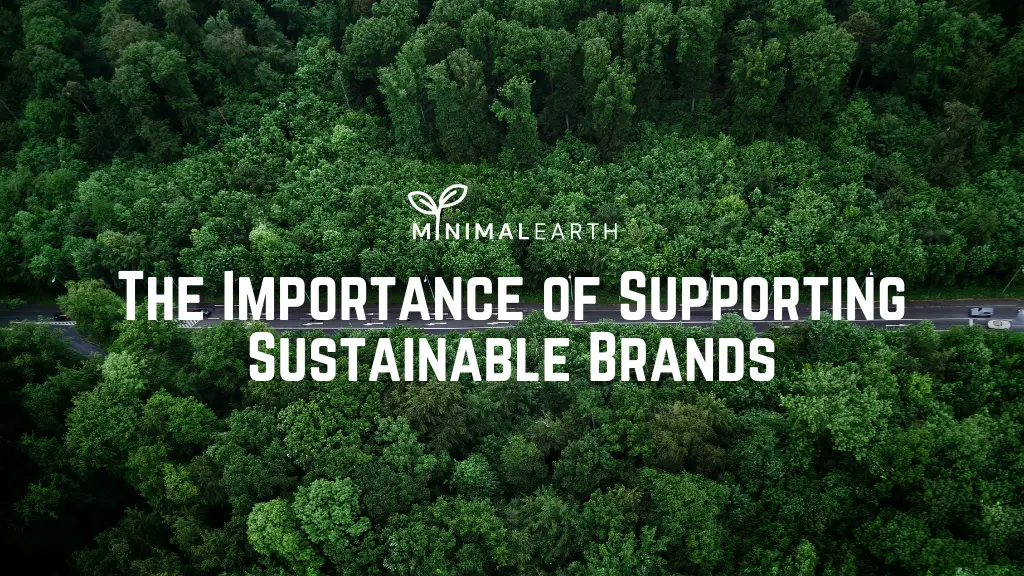 The Importance of Supporting Sustainable Brands