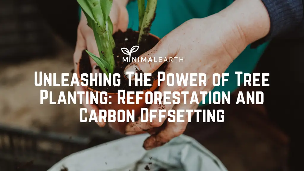 Unleashing The Power of Tree Planting Reforestation and Carbon Offsetting